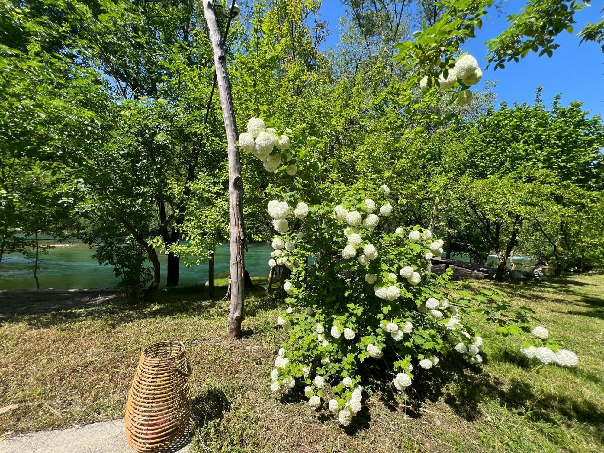 Anur Apartment Bihać Esterno foto